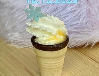 Weihnachtsshow 18.12.25 und Training am 23.12.